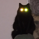 handsyskeleton avatar