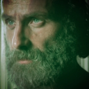 handy-dandy-lion avatar