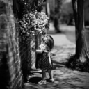 haneenshawahni avatar