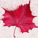 hangugist-blog avatar