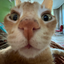 hankitsforyou avatar