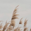 hannabanana013 avatar