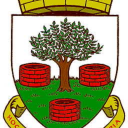 hannah-gallagher-clg avatar