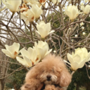 hannahcoatesss avatar