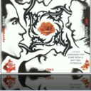 hannahmack4516 avatar