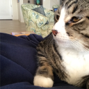 hannahs-to-read-posts avatar