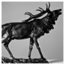 hannibalaesthetic avatar