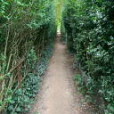 hansoffmycapes avatar