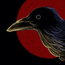 haorev avatar