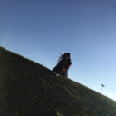 happiestbeingbee avatar