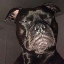 happily-everaffterr avatar