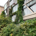 happilyhippie avatar