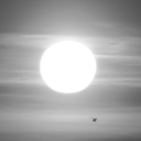 happilystoned avatar