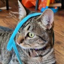 happinessisntfun avatar