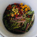 happy-0-with-0-life avatar