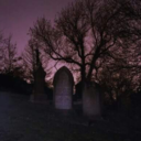 happy-ending-bitch avatar