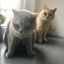 happy-girls-are-the-prettiest99 avatar