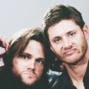 happy-tuesday-sammy avatar