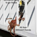 happy-wasteland-collection avatar