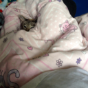 happyandlight avatar