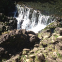 happybaguettes avatar