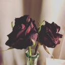 happybeansprout avatar