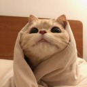 happychemicalpants avatar