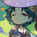 happycollectorkoala avatar