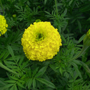 happyerathome avatar