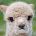 happyfaceholly avatar