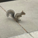 happyhalloweeen avatar