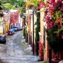 happyhallowishes avatar