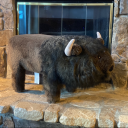 happylittletrees2 avatar