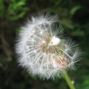 happynightworld avatar