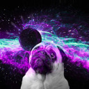 happypugstuff avatar