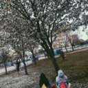 happysadfeels avatar