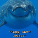 happysharkintensifies avatar