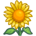 happysunnyflower avatar