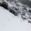 happythoughts-hugs-kisses avatar