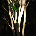 happyxxxxxend avatar