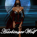 harbingerwolf avatar