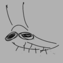 hardcollectionnut avatar