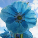 harddefendorhottub avatar