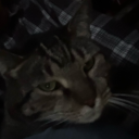 hardestwaypossible avatar