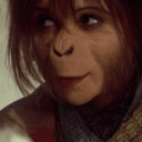 hardlovedream avatar