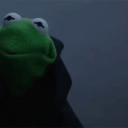 hardpeacejellyfish avatar