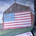 hardsharkfireplaid avatar