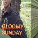 hardsharkmugfan avatar