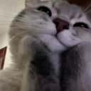 hardstrawberrygardener avatar