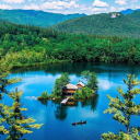 hardtigerdreamlands avatar